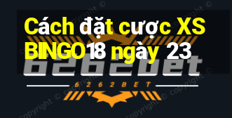 Cách đặt cược XSBINGO18 ngày 23