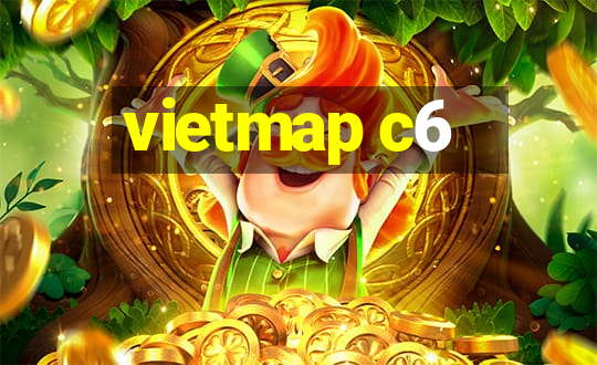 vietmap c6