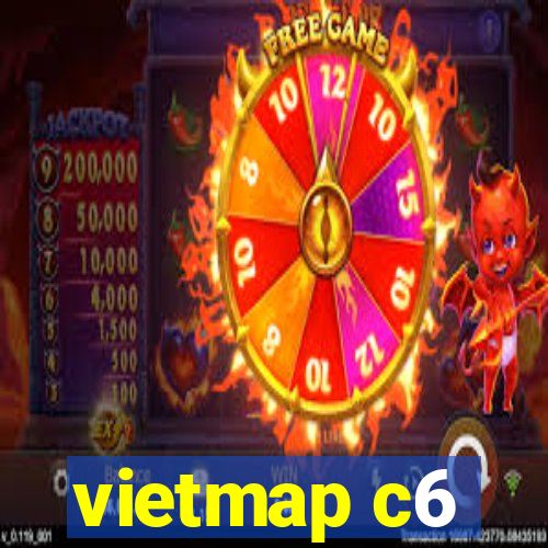 vietmap c6