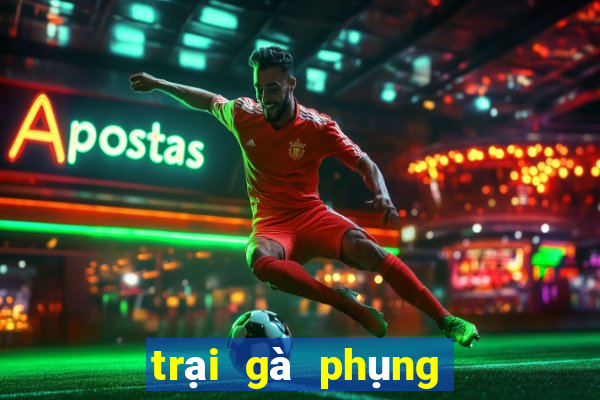 trại gà phụng hoàng kê 2024