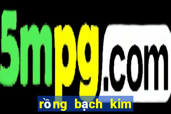 rồng bạch kim kết quả xổ số miền bắc