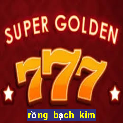 rồng bạch kim kết quả xổ số miền bắc