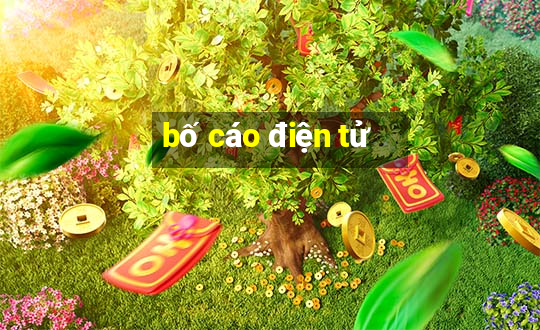 bố cáo điện tử