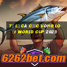 tỷ lệ cá cược vòng loại world cup 2023