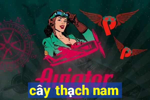 cây thạch nam