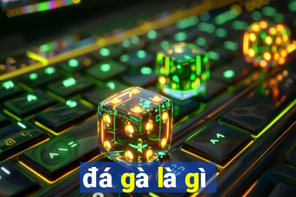 đá gà là gì