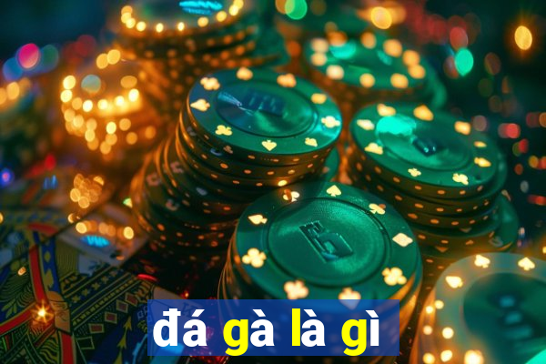 đá gà là gì