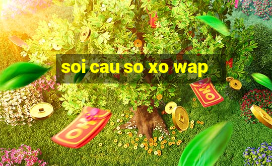 soi cau so xo wap