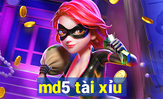 md5 tài xỉu