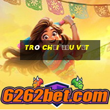 trò chơi đấu vật