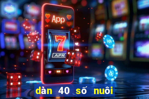 dàn 40 số nuôi trong ngày