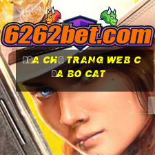 Địa chỉ trang web của Bo Cat