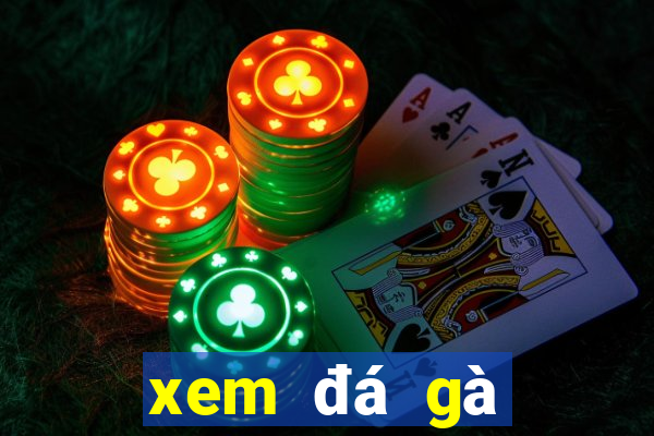 xem đá gà trực tiếp ngày hôm nay