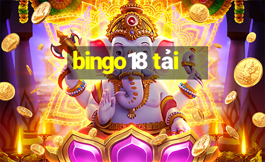 bingo18 tải