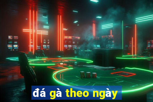 đá gà theo ngày