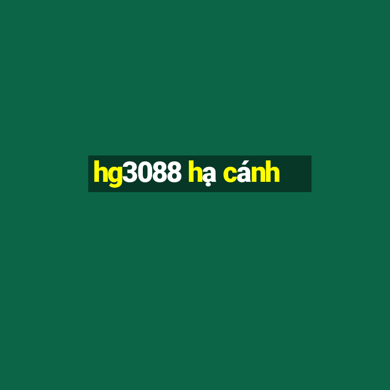 hg3088 hạ cánh