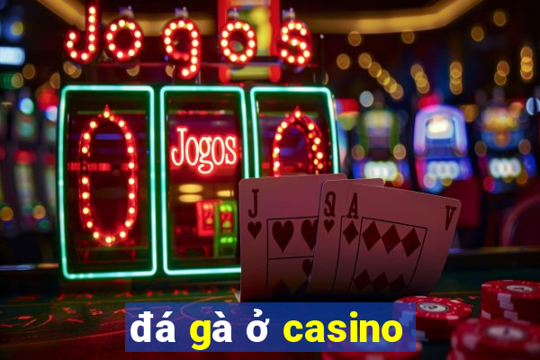 đá gà ở casino