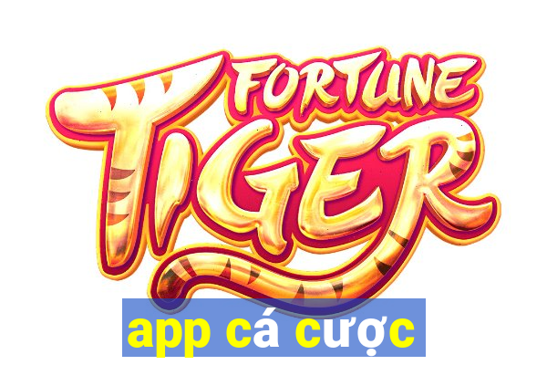 app cá cược