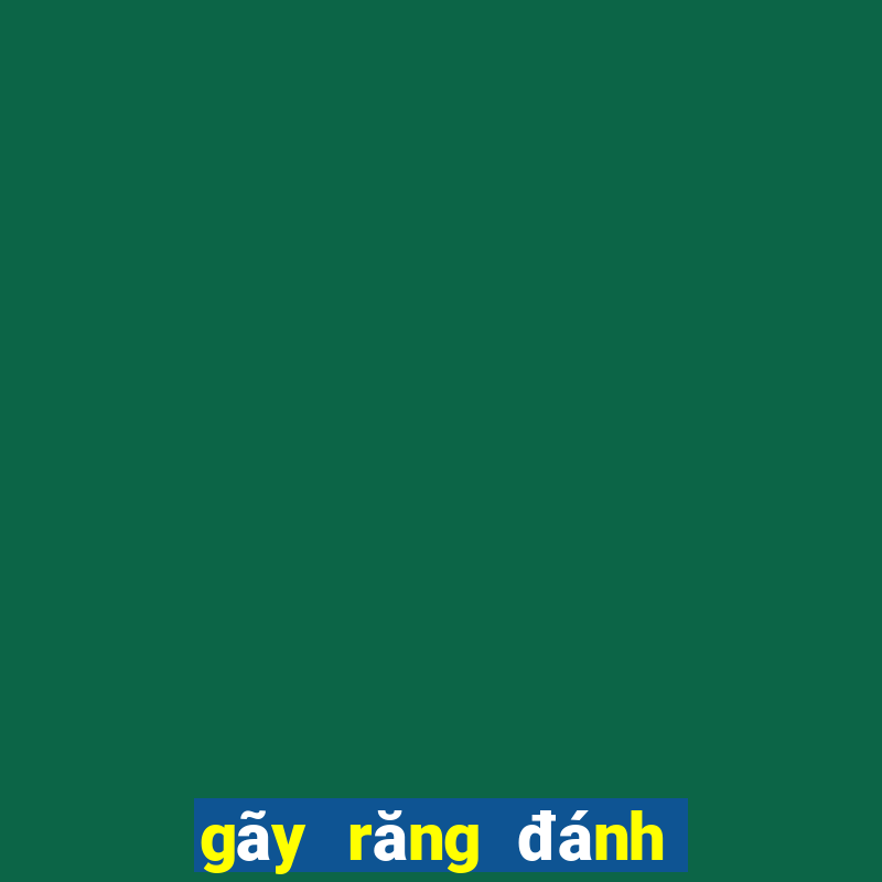 gãy răng đánh con gì