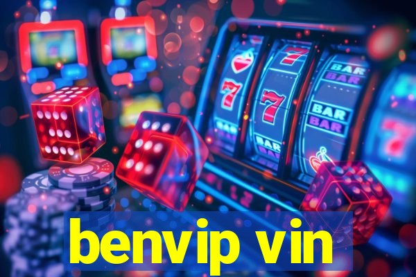 benvip vin