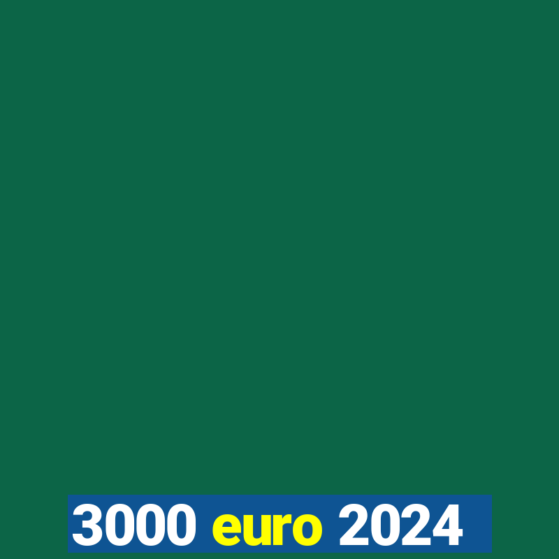 3000 euro 2024