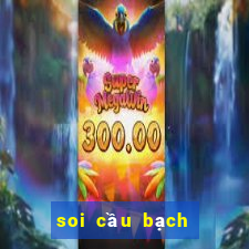 soi cau bach thu khung 3 ngay