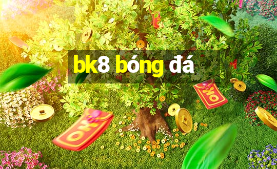 bk8 bóng đá