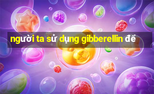 người ta sử dụng gibberellin để