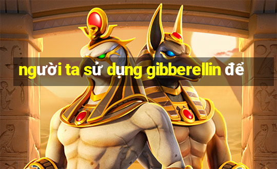 người ta sử dụng gibberellin để