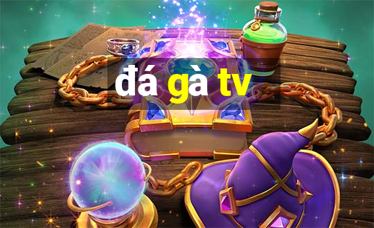 đá gà tv