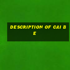 Description of Cai Be