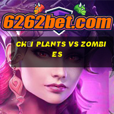 chơi plants vs zombies