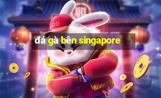 đá gà bên singapore