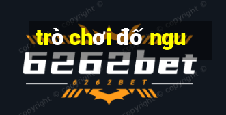 trò chơi đố ngu