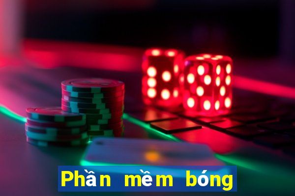 Phần mềm bóng đá Cúp C1 Châu Âu 2024