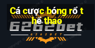 Cá cược bóng rổ thể thao