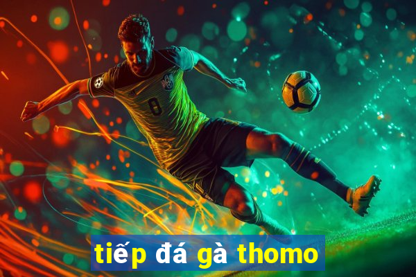 tiếp đá gà thomo