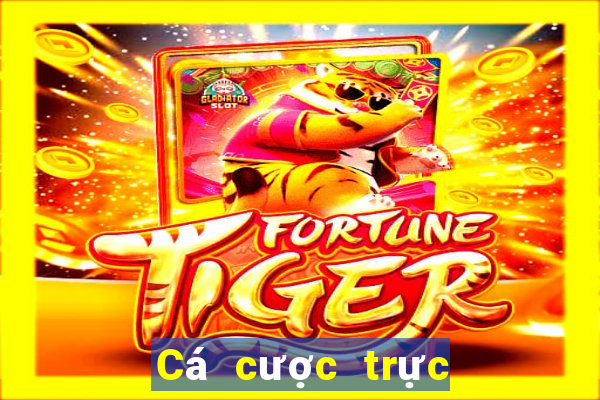 Cá cược trực tuyến e88