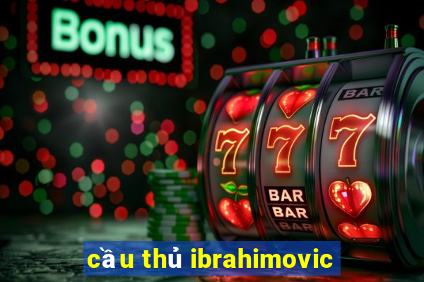 cầu thủ ibrahimovic