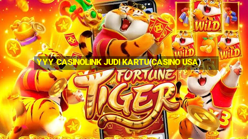 YYY CASINOLINK JUDI KARTU(CASINO USA)