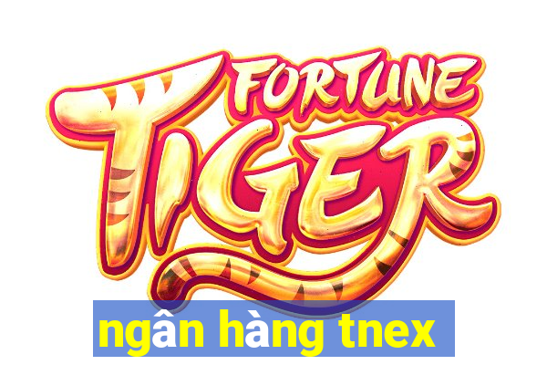 ngân hàng tnex