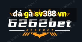 đá gà sv388 vn