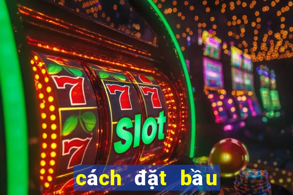 cách đặt bầu cua thắng