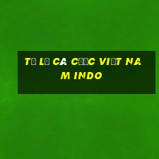 tỷ lệ cá cược việt nam indo