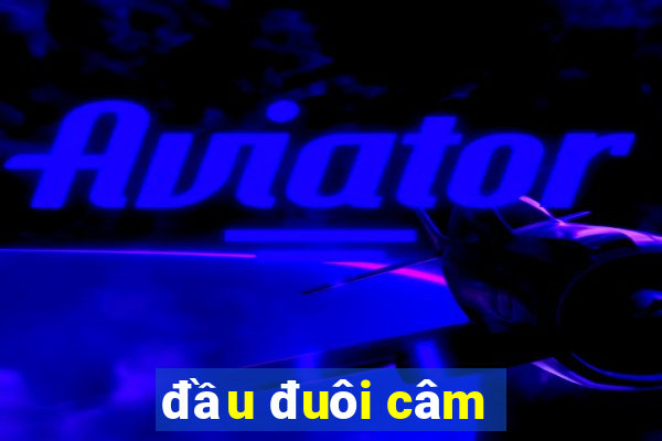 đầu đuôi câm