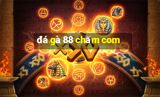 đá gà 88 chấm com