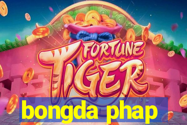 bongda phap