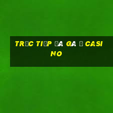 trực tiếp đá gà ở casino