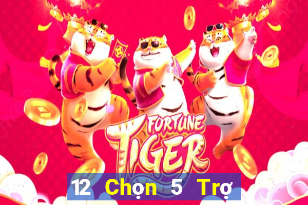 12 Chọn 5 Trợ lý Tải về