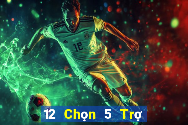 12 Chọn 5 Trợ lý Tải về